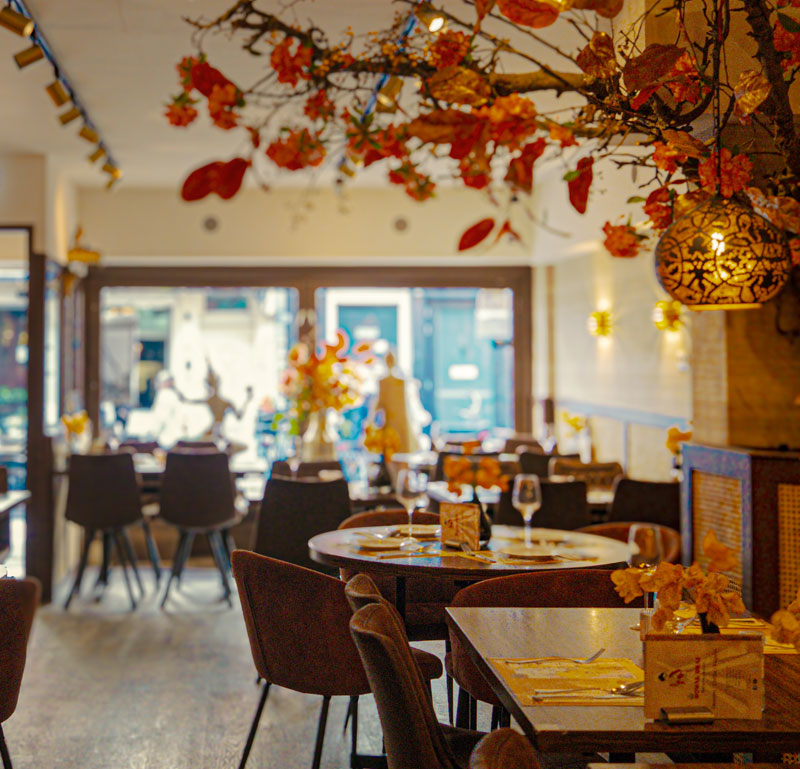 Rokin Amsterdam Shopping Sightseeing