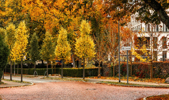Leidseplein In De Herfst